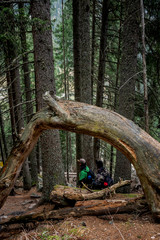 Two Photographer are walking in the wood