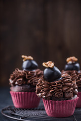 Dark chocolate cupcake, copy space background
