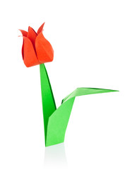 Red tulip of origami
