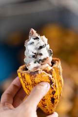 man holding a Cocoa fruit is a fungus.