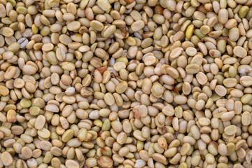 Fototapeta premium Drying raw coffee beans in the agricultural industry.