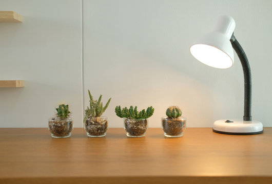 lamp, succulent cactus plant in pot decorating on wooden desk near white wall