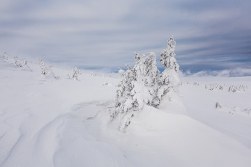 mountains, giant, czech, winter, mountain, krkonose, snow, karkonosze, landscape, panorama, karpacz, nature, sky, snowy, white, sun, travel, cold, blue, view, europe, outdoor, day, scenery, ski, valle