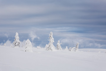 mountains, giant, czech, winter, mountain, krkonose, snow, karkonosze, landscape, panorama, karpacz, nature, sky, snowy, white, sun, travel, cold, blue, view, europe, outdoor, day, scenery, ski, valle