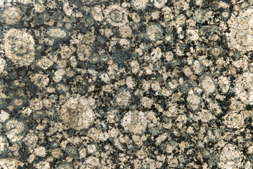 gray marble texture, marble floor