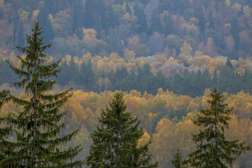 Autumn scene with colorful autumn trees.