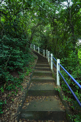 Fototapeta premium Stairway to jungle ,Ao Manao, Prachuap Khiri Khan Thailand.