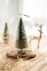 Christmas greeting card. Christmas tree branch on glitter golden bokeh lights background. New Year concept. Copy space.
