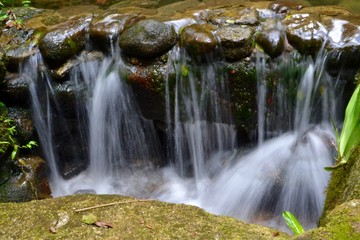 Obraz premium waterfall in the forest