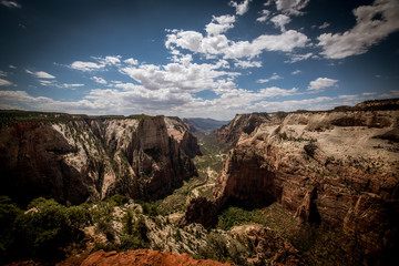 Fototapeta na wymiar Zion National Park from Observation Point