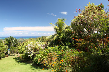 Fototapeta na wymiar Martinique, jardin tropical
