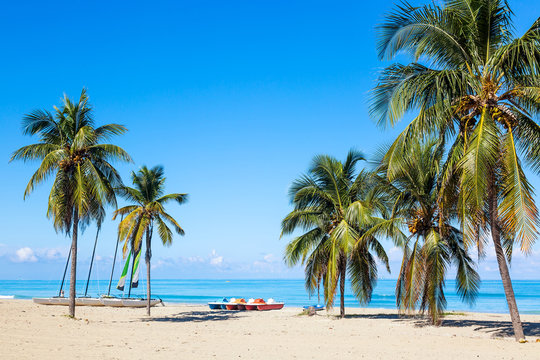 The tropical beach of Varadero in Cuba with sailboats and palm trees on a summer day with turquoise water. Vacation background.