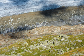 Aletsch glacier area wanderweg hiking trail mountain view in Bettmeralp to Fiescheralp trail