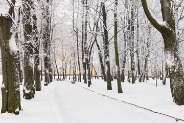 Beautiful winter park. Snowy winter in the city. Russian winter.