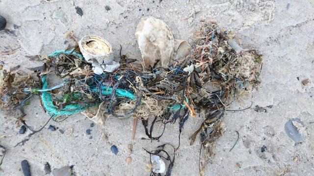 Angeschwemmter M&uuml;ll am Strand von Bjerregard