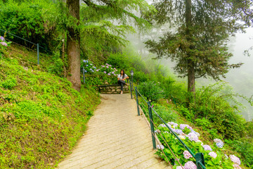 the lady in the garden, Landour- with low floating clouds/ mist/ fog all around