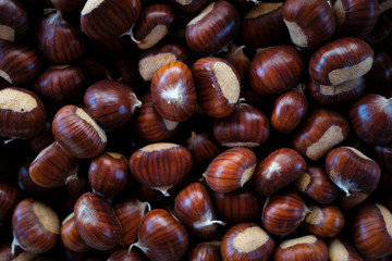 Chestnuts and chestnut bur