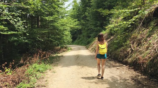 One young woman traveler walking on a country road with a yellow backpack in the wild nature in a sunny summer day. Rear view. Slow motion video