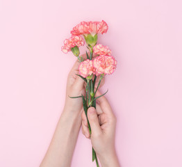 female hand hold carnation