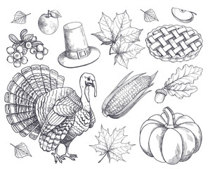 Pumpkin Thanksgiving Symbols Sketches Set Vector