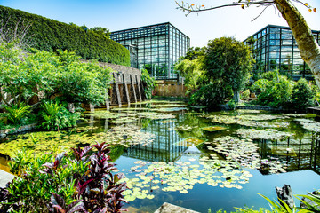 木々と水面反射