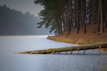 Jesienne Jezioro Skute Lodem © Wojciech Lisiński