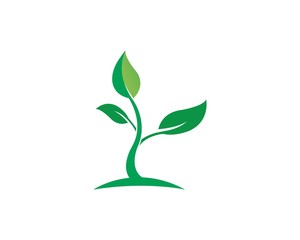 Tree leaf vector logo design, eco-friendly