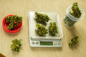 Cones of cannabis flowers on the scales. Measuring of Buds of medical marijuana. Weighing marijuana...