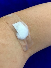 Plaster and cotton patch on the arm after the blood test.