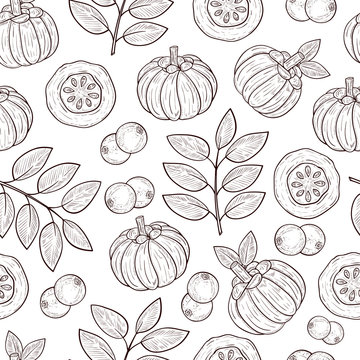 Garcinia. Leaves, fruit. Sketch. Background, wallpaper, seamless, texture.