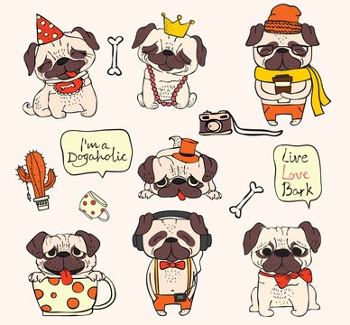 Vector illustrations of cute and funny cartoon hipster pug puppies and funny  hand drawn quote - Vector Stock Vector | Adobe Stock