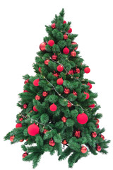 Fototapeta na wymiar Christmas tree with red balls on isolated white background.