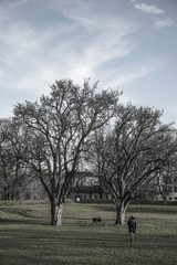 fortress of Akershus - a castle in Oslo