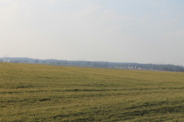 Obraz premium landscape, sky, field, grass, nature, green, blue, land