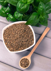 Fresh and dried basil on a wooden background.