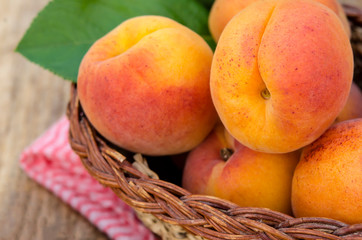 Delicious ripe apricots in a basket on rustic background. Healthy foods. Close up.