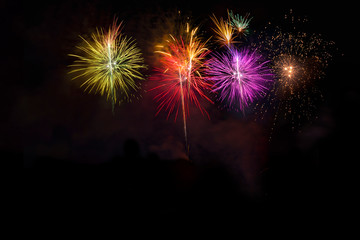 Fototapeta na wymiar Fireworks display over dark sky