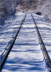 Fototapeta premium Tracks in Snow