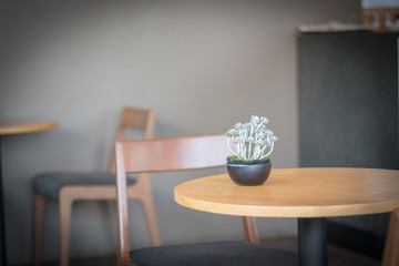 Small tree Leave space for text