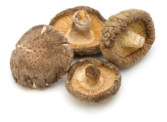 Dried Shiitake Mushroom isolated on white background