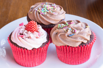 Fresh baked delicious different cupcakes served in white plate with wood background