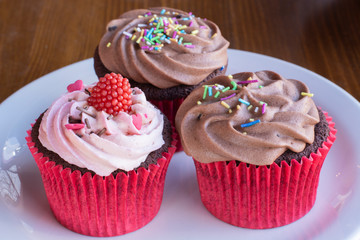 Fresh baked delicious different cupcakes served in white plate with wood background
