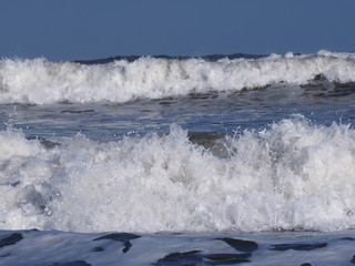 Fototapeta premium OLYMPUS DIGITAL CAMERA