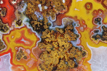 A cross-section of agate. Macro photography of the surface of the cut. Multicolored silica bands...