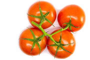 red tomatoes on a branch on a white background