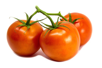 red tomatoes on a branch on a white background