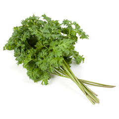 parsley leaves bunch isolated on white background cutout