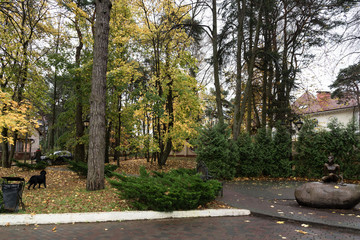 Sculpture of a princess frog in the resort town of Svetlogorsk. Earlier Rauschen. The black dog looks at the woman going to the car. Autumn. It's a nasty day.