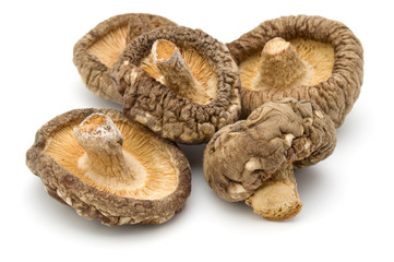 Dried Shiitake Mushroom isolated on white background