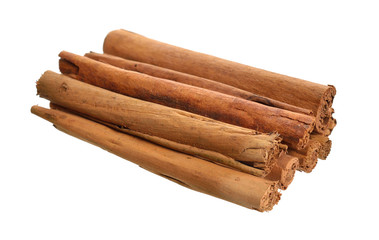 Bark from Cinnamomum verum or true cinnamon or Ceylon cinnamon. Isolated on white background.